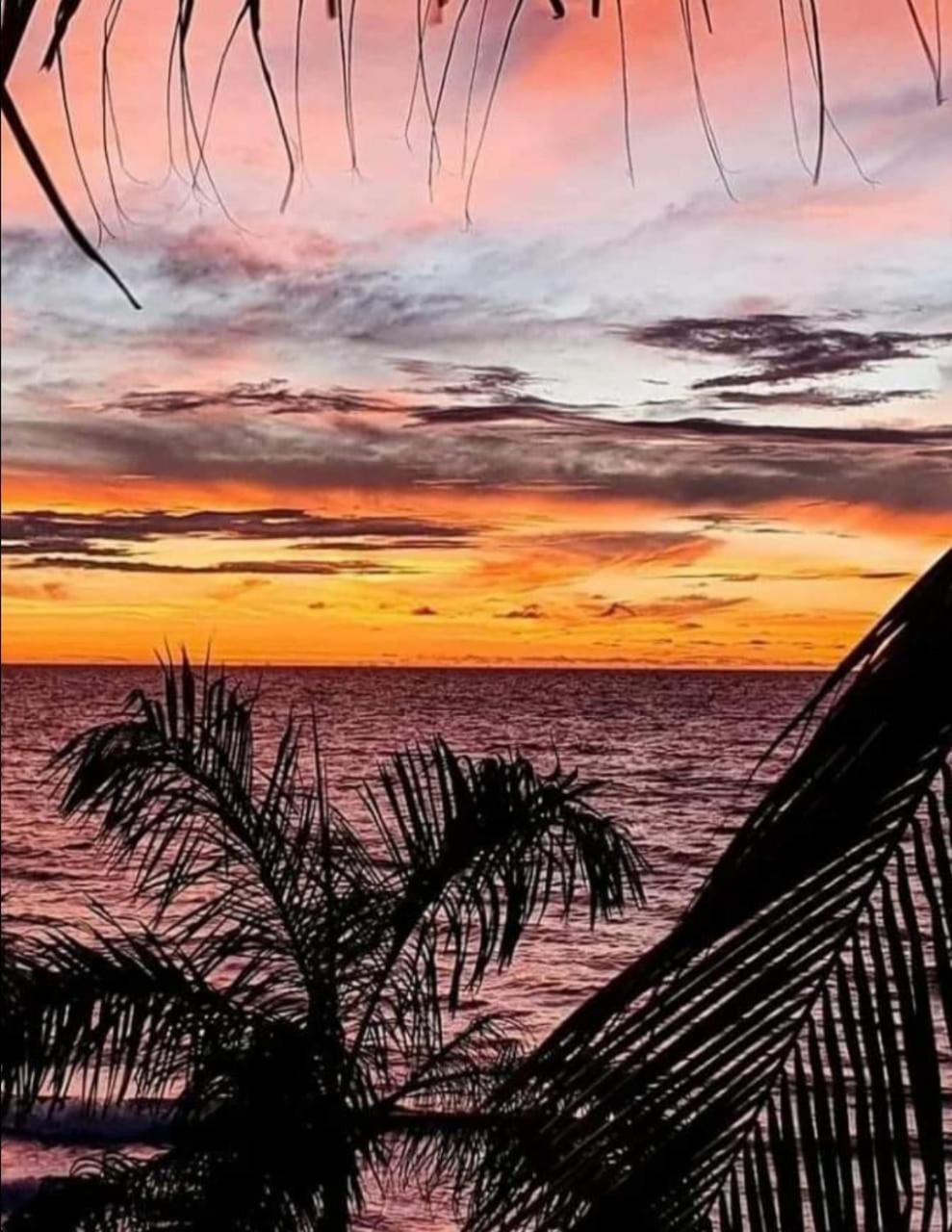 Hostal Corales Толу Экстерьер фото