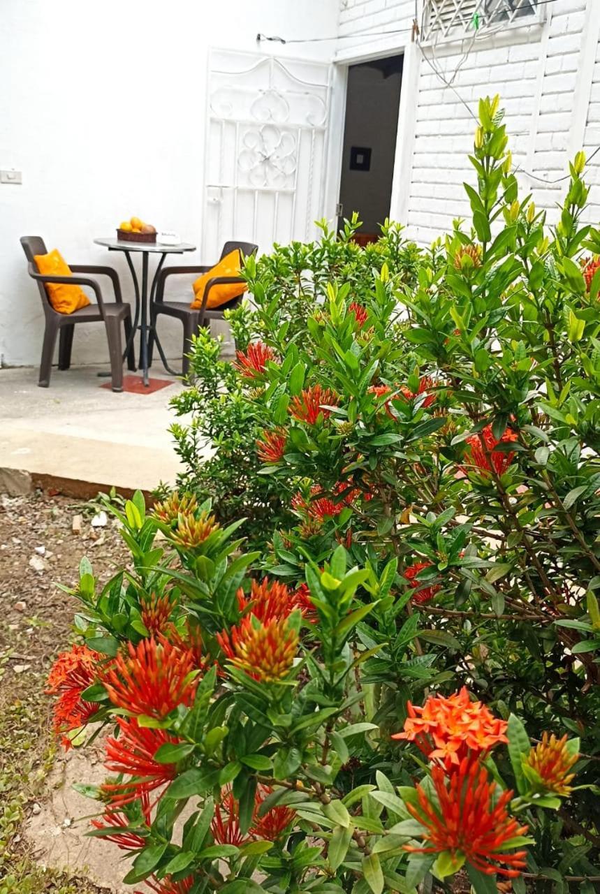 Hostal Corales Толу Экстерьер фото