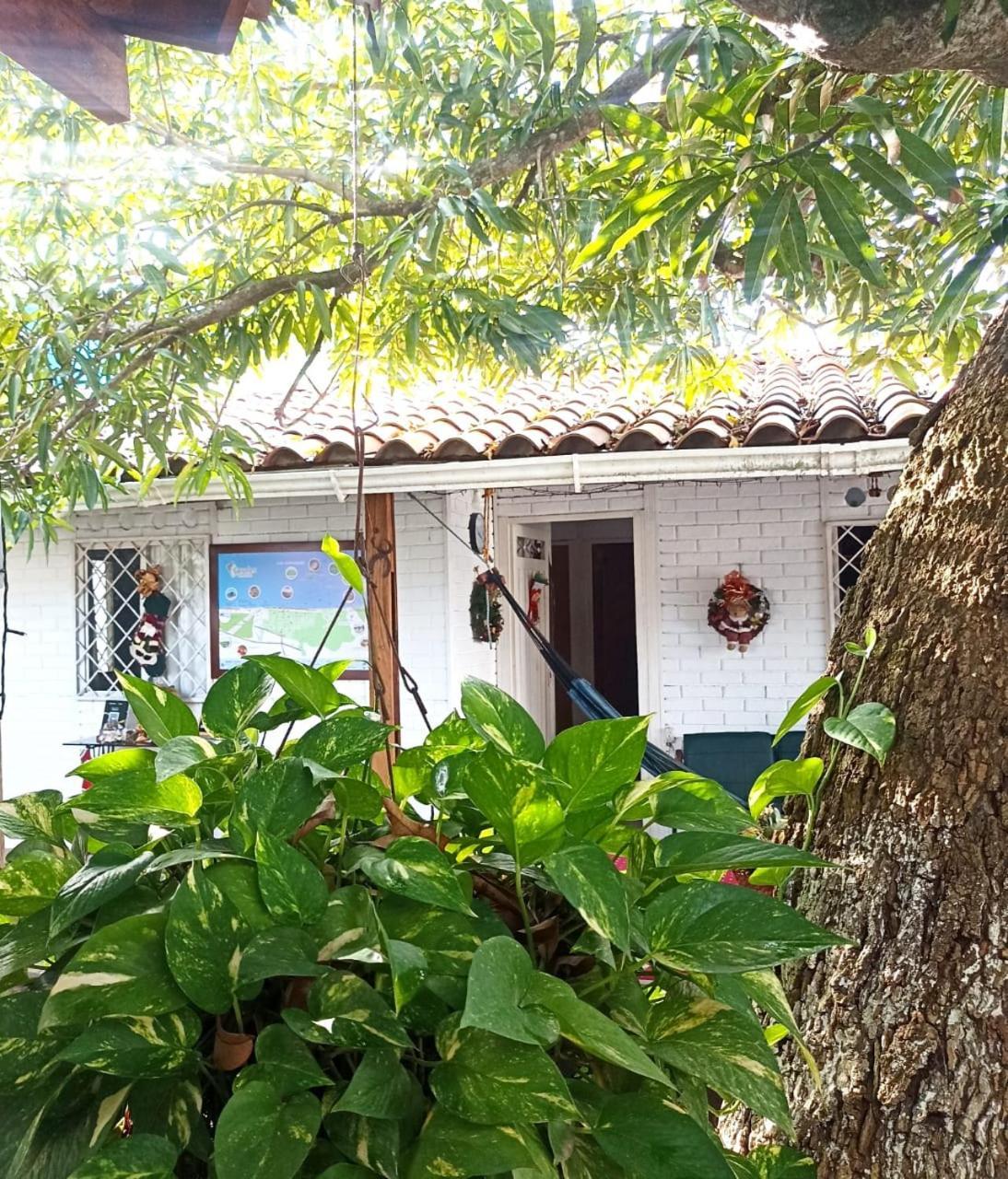 Hostal Corales Толу Экстерьер фото