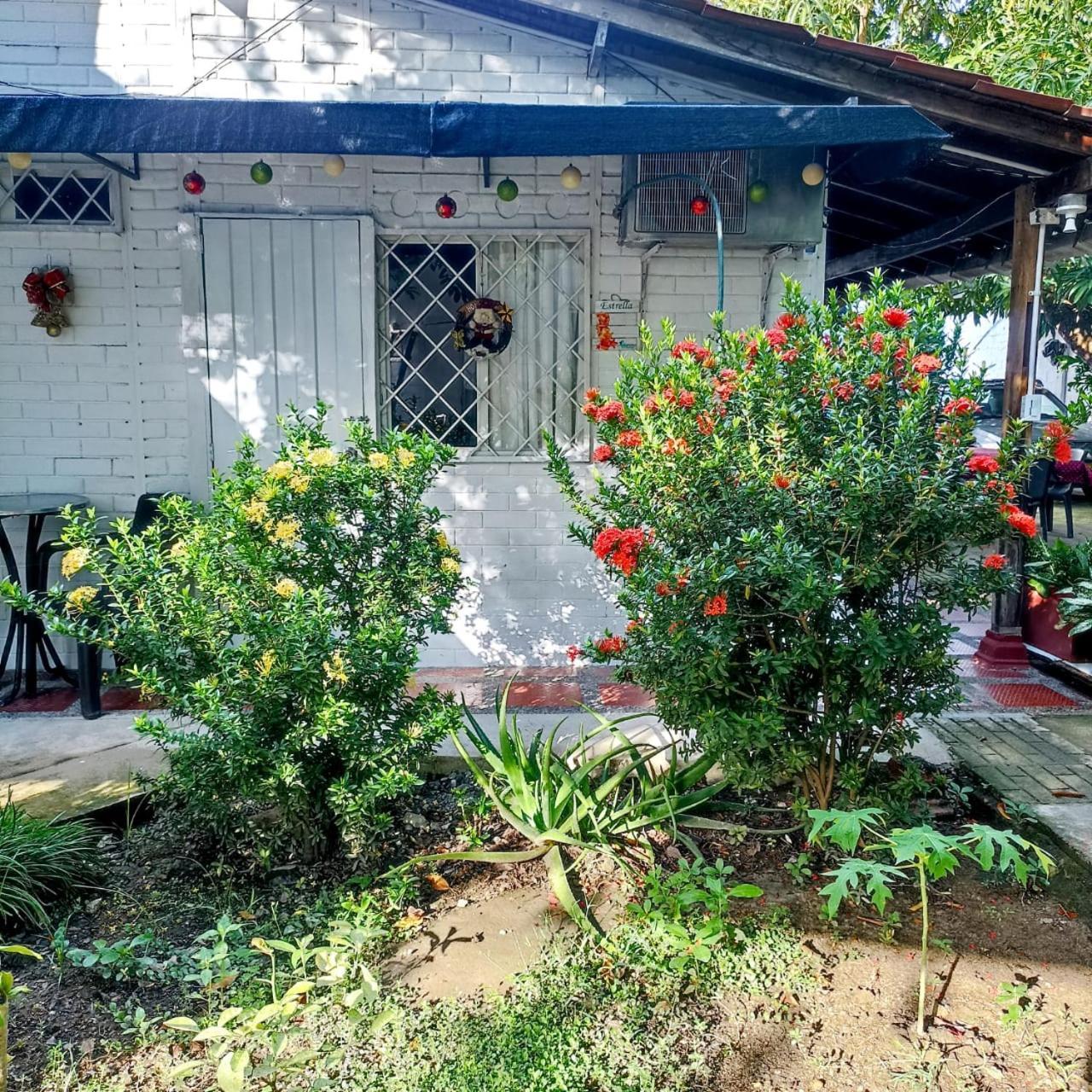 Hostal Corales Толу Экстерьер фото