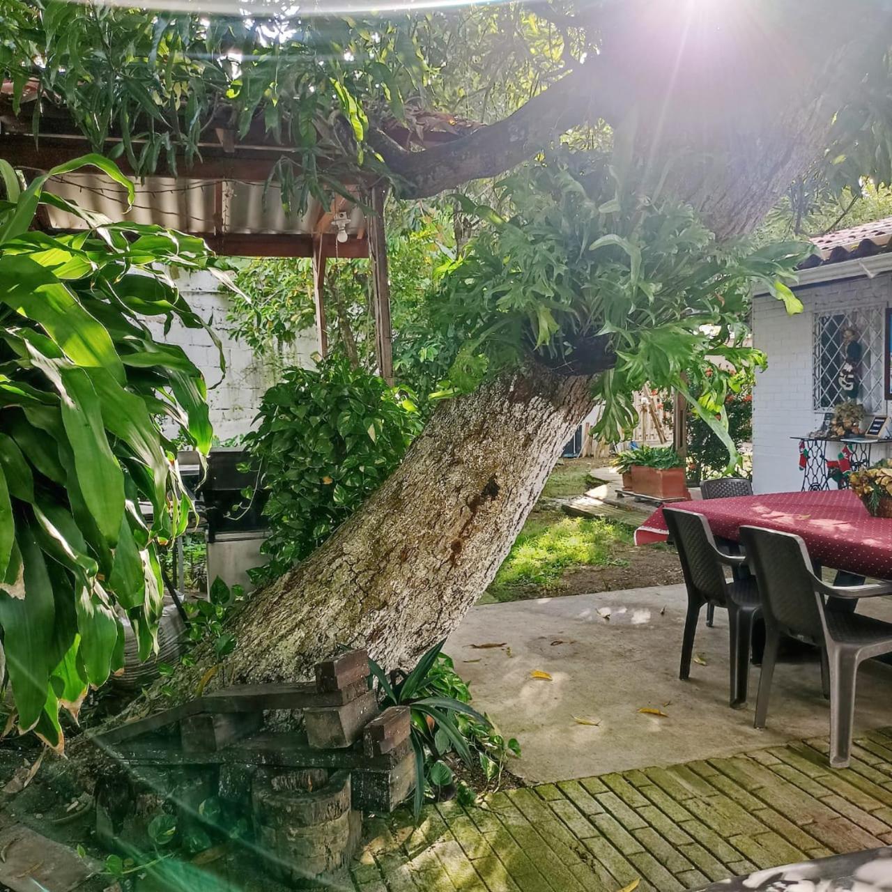 Hostal Corales Толу Экстерьер фото